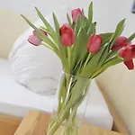 Sonnenschein שלאדמינג