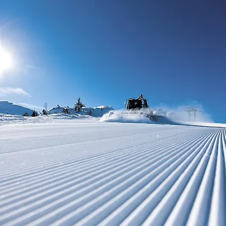 Apartment Sonnenschein