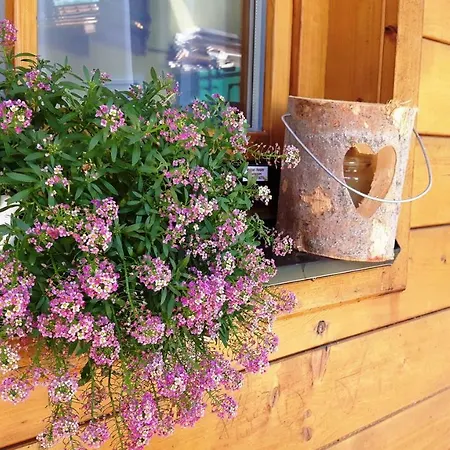 Apartmán Sonnenschein Schladming