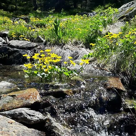 Apartman Sonnenschein