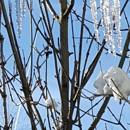 Sonnenschein Apartment Schladming