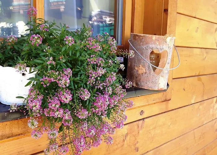 Appartamento Sonnenschein Schladming