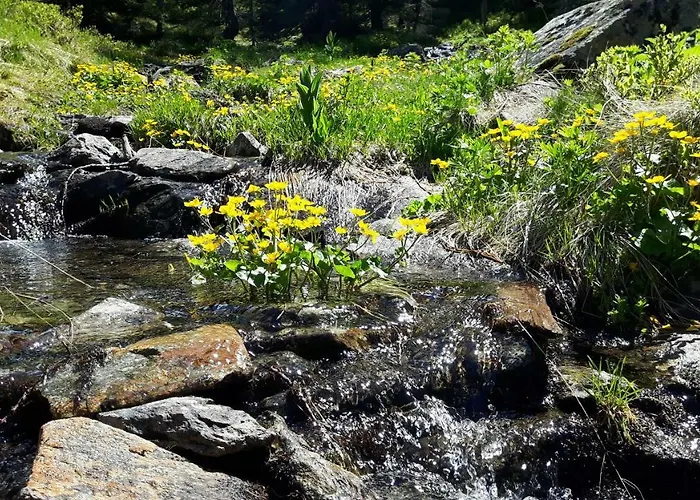 Appartamento Sonnenschein