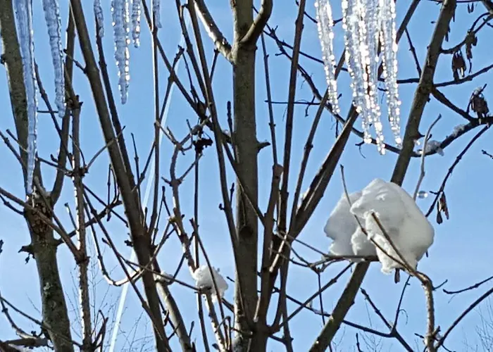 Sonnenschein 公寓 斯拉德明